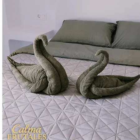 شقة Calma Frutales تورّيفيِخا